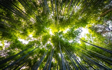 UniSENAI abre inscrições para três cursos gratuitos EAD sobre energias renováveis