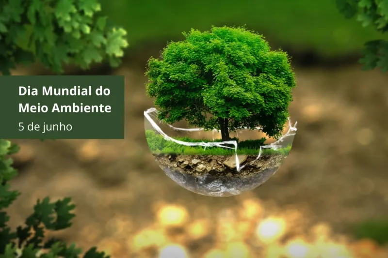 Escola S mobiliza professores e estudantes para ações ambientais